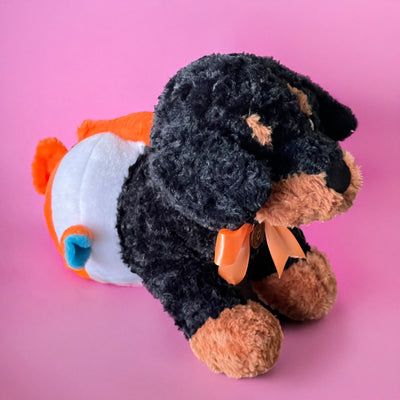 Clown Fish Dog (8364980240580)