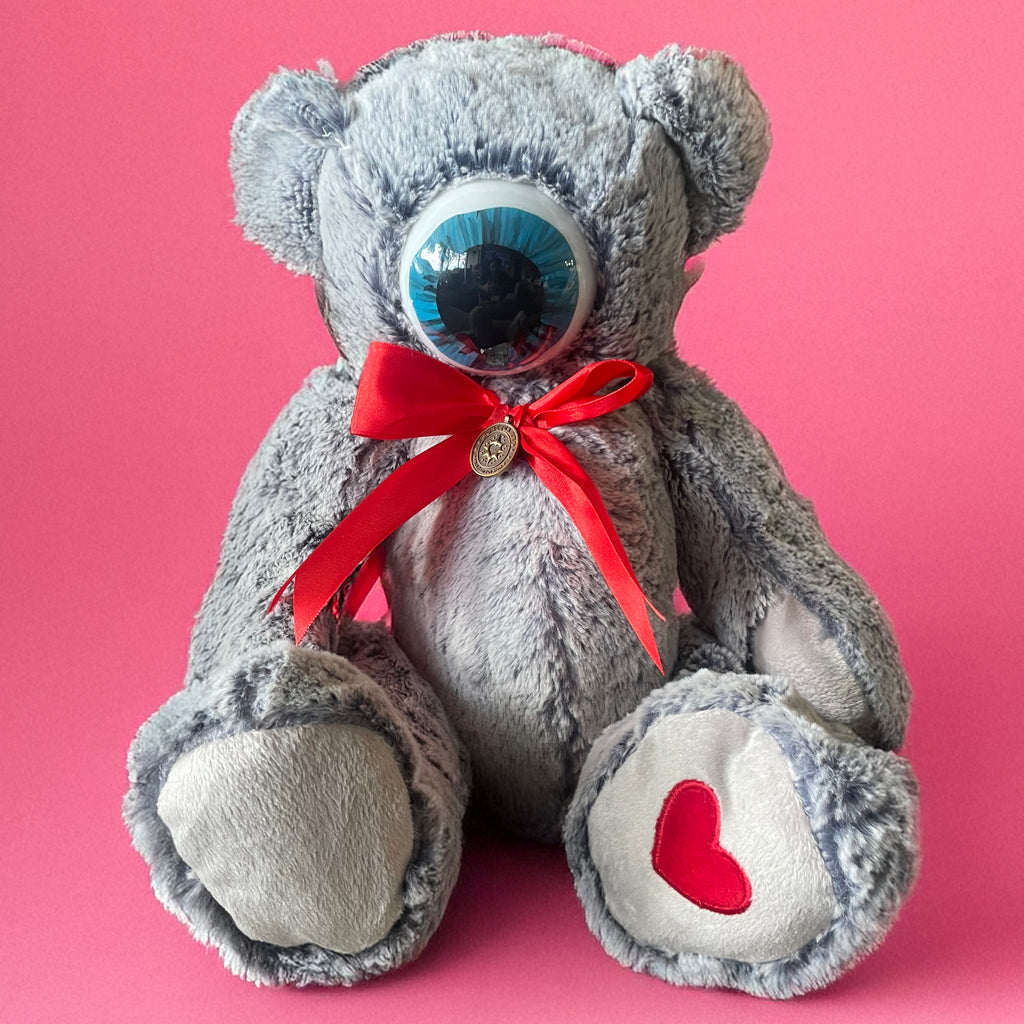 Grey Bear Eye Baby