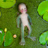 Toad Boy (7972669096132)