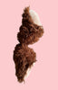 Brown Bear Feet (Scrap)