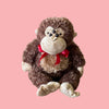 Spider-Eyed Monkey