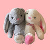Two-Headed Rabbit