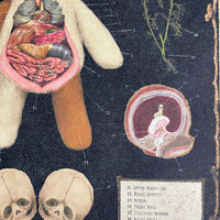 Tummy-Tum Anatomy Poster (7195471839428)