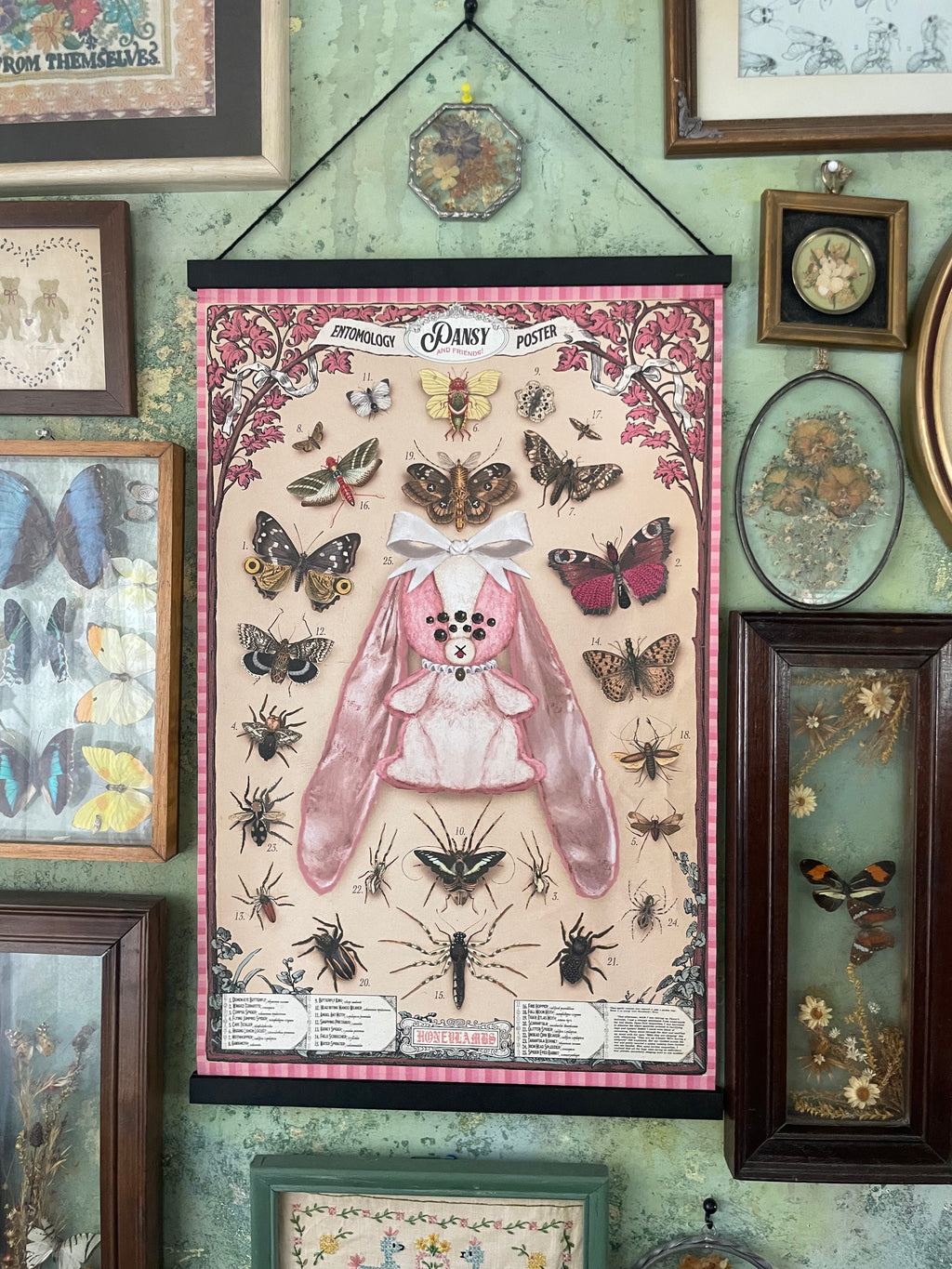 Pansy Entomology Poster (7195471937732)